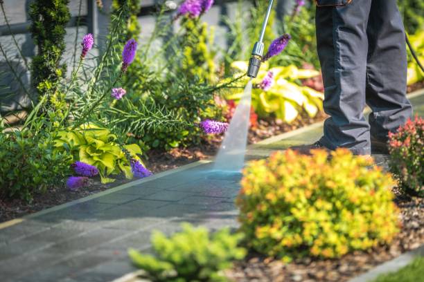 Best Soft Washing  in Robbinsdale, MN